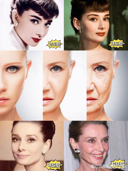 好莱坞整容_整过容的好莱坞女星_好莱坞整容女明星